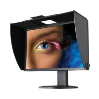 Monitory